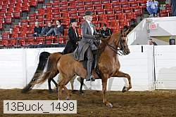 13buck_1499 proof