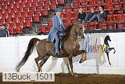 13buck_1501 proof