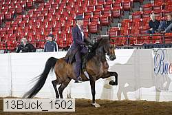 13buck_1502 proof