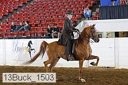 13buck_1503 proof