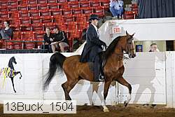 13buck_1504 proof