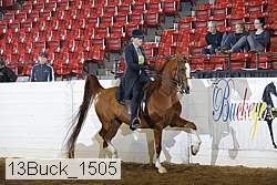 13buck_1505 proof
