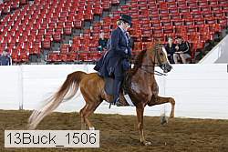 13buck_1506 proof