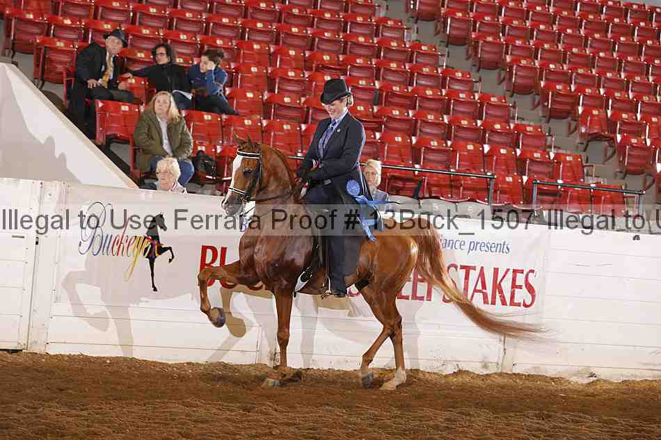 Proof 13buck_1507