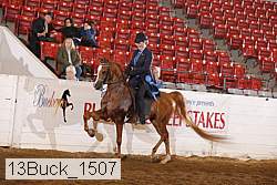 13buck_1507 proof