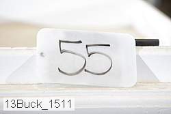13buck_1511 proof