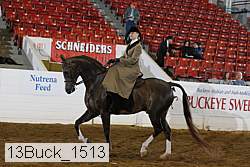 13buck_1513 proof