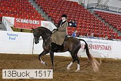 13buck_1517 proof