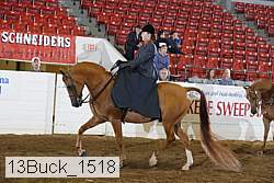13buck_1518 proof