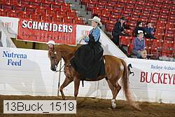 13buck_1519 proof