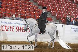 13buck_1520 proof