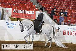 13buck_1521 proof