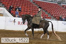 13buck_1522 proof