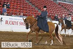 13buck_1523 proof