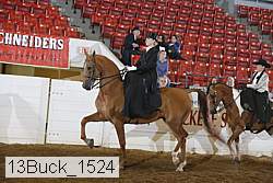 13buck_1524 proof