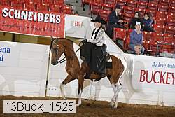 13buck_1525 proof