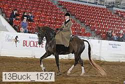 13buck_1527 proof