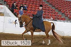 13buck_1528 proof