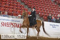 13buck_1529 proof
