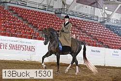 13buck_1530 proof