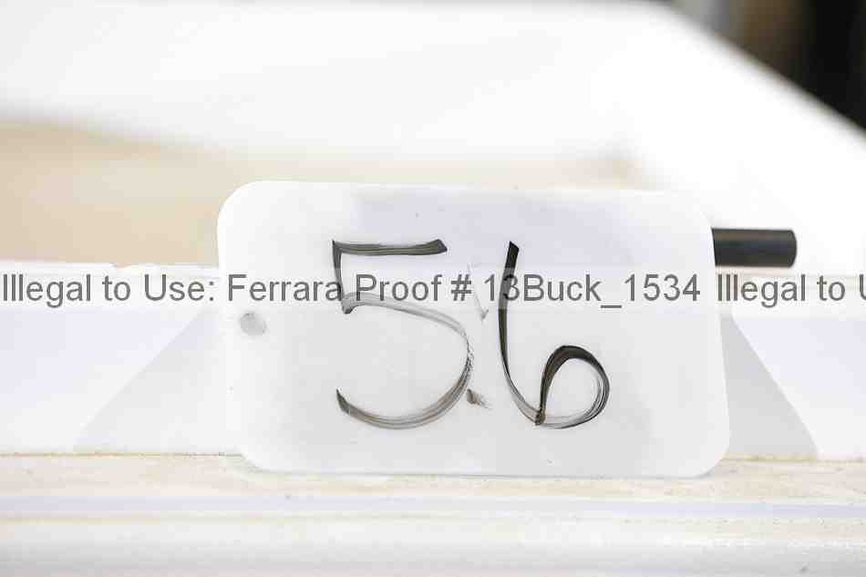 Proof 13buck_1534