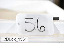 13buck_1534 proof