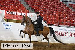 13buck_1535 proof