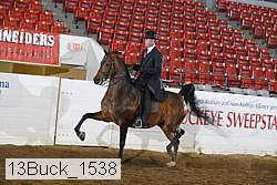 13buck_1538 proof