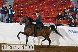 13buck_1539 proof