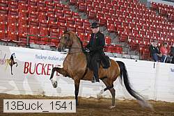 13buck_1541 proof