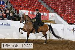 13buck_1542 proof