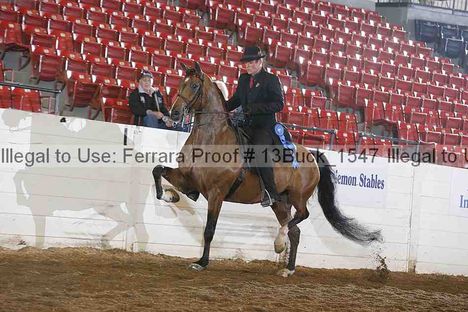 Proof 13buck_1547