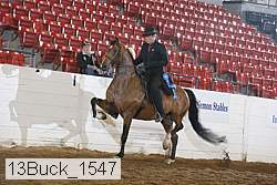 13buck_1547 proof