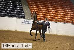 13buck_1549 proof