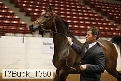 13buck_1550 proof
