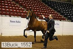 13buck_1552 proof