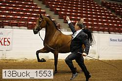 13buck_1553 proof