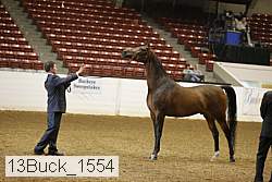 13buck_1554 proof