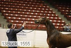 13buck_1555 proof