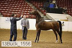 13buck_1556 proof
