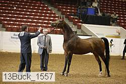 13buck_1557 proof