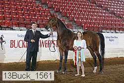 13buck_1561 proof
