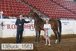 13buck_1562 proof
