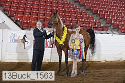 13buck_1563 proof