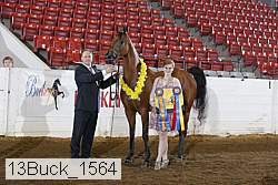 13buck_1564 proof