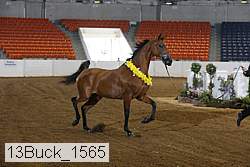 13buck_1565 proof