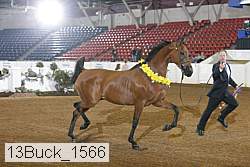 13buck_1566 proof