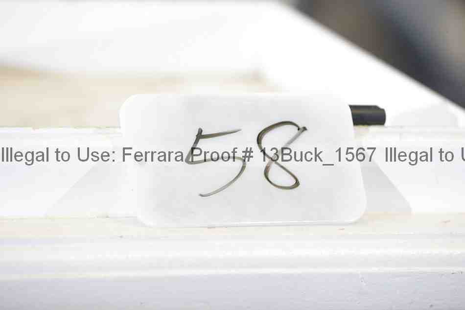Proof 13buck_1567