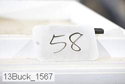 13buck_1567 proof