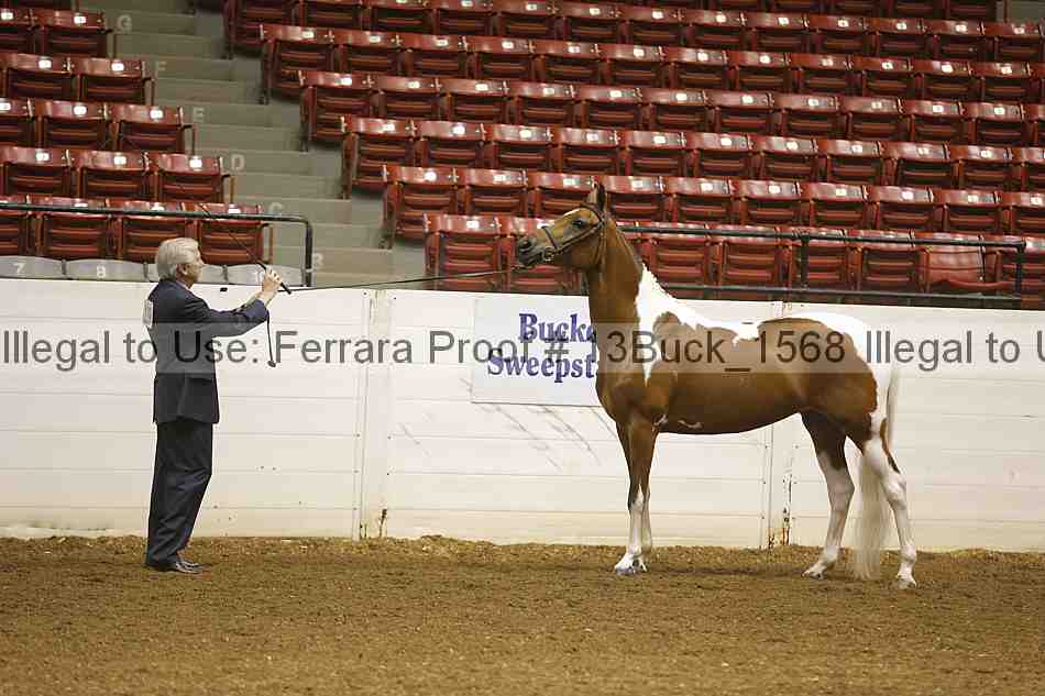 Proof 13buck_1568